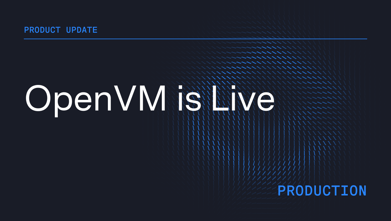 Releasing OpenVM to Production